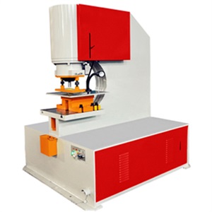 Punching Machine P-250